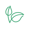 icons8-natural-food-100